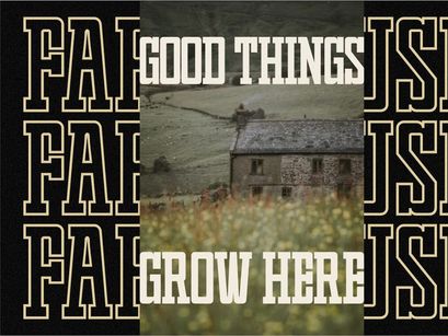 Varsity College - Vintage Slab Serif