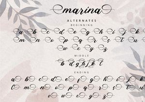 Marina - Modern Script Font