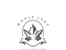 Maple leaf logo design vintage style graphic illustration