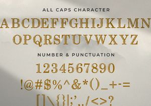 Revij Anovik - Decorative Serif Font