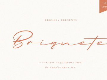 Briquete | Natural Brush Font preview picture