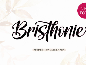 Bristhonie preview picture