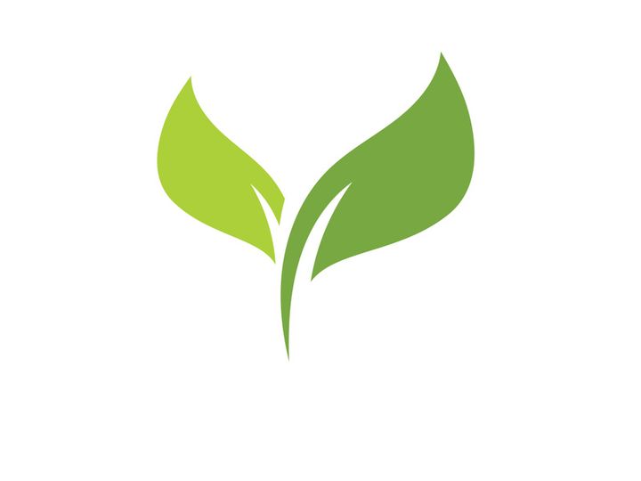 Vegan leaf green eco logo nature