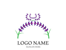 Fresh lavender flower logo vector flat design