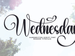 Wednesday Font Font preview picture