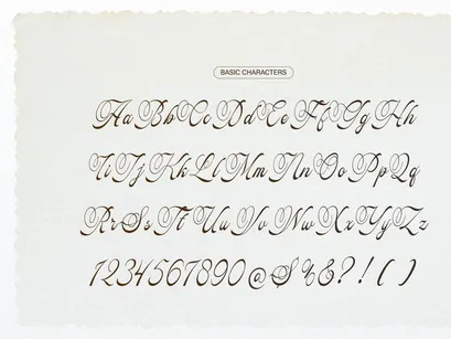 Pitholica Delicate | Classic Elegant Script