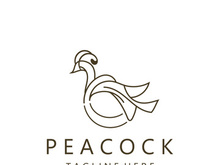 Peacock logo line art elegant concept icon design template flat vector illustration