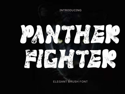 Panther Fighter
