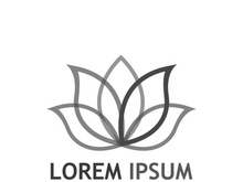 Colorful lotus flower logo design.