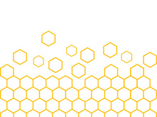 Bee icon design illustration