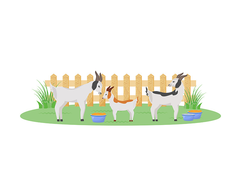 Goats in garden flat color vector character