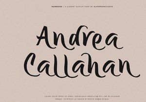 Hammond - Elegant Display Font
