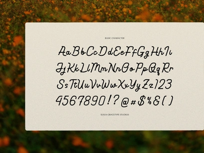 Softmark | Casual Handwritten Font