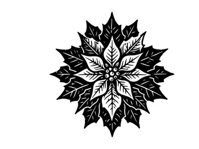 Black and white poinsettia flower illustration, hand drawn Christmas botanical icon.
