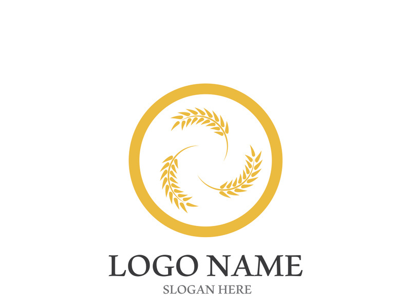 Wheat logo vector icon illustration design