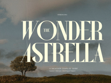 Wonder Astrella | Modern Display Serif preview picture
