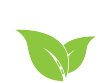 Leaf logo vector icon design template