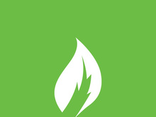 Leaf logo green nature vector image