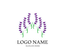 Fresh lavender flower logo vector flat design