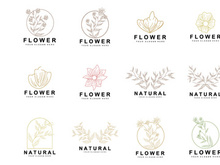 Simple Botanical Leaf and Flower Logo, Vector Natural Line Style, Decoration Design, Banner, Flyer, Wedding Invitation, and Product Branding