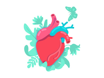 Anatomical heart flat concept vector illustration preview picture