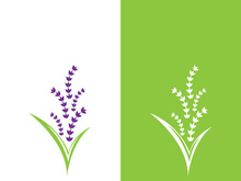 Fresh lavender flower logo vector flat design