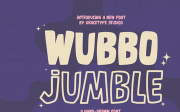 Wubbo Jumble | Hand Drawn Font