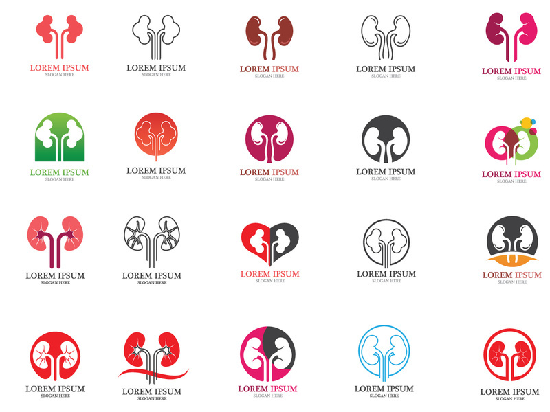 Kidney health logo vector