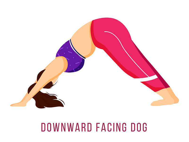 Downward facing dog flat vector illustration
