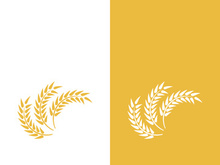 Wheat logo vector icon illustration design