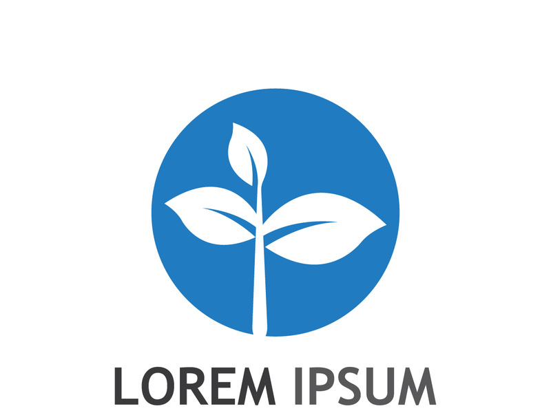 Natural green leaf logo.