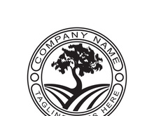 Root Leaf Family Tree of Life Oak Banyan Maple Stamp Seal Emblem Label logo design vector