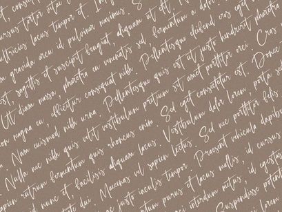 Selestia Signature - Handwritten Font