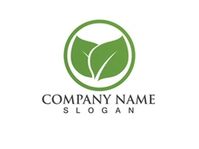 Green leaf logo Vector