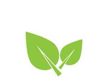 Leaf logo vector icon design template