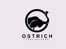 Ostrich Logo Design, Desert Animal Illustration, Living In The Forest, Vector Camel Brand Product