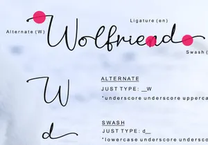 Wolfriend - Modern Handwritten Font