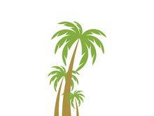 Palm tree summer logo template vector illustration