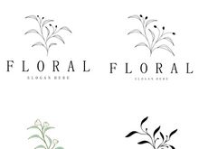 Elegant floral and leaf frame. Delicate botanical vector illustration for labels, spas, corporate identity, and wedding invitations