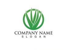 Aloe vera logo vector ilustration template