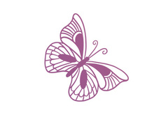 Butterfly, SVG Vector Illustration
