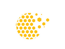 Bee icon design illustration