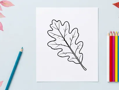 Nahaufnahme eines Eichenblatts auf weißem Hintergrund. Natürliche botanische Details für Umwelt- oder Naturtypografie.