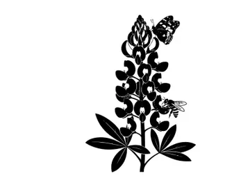 Silhouette of a plant with leaves and flowers growing preview picture