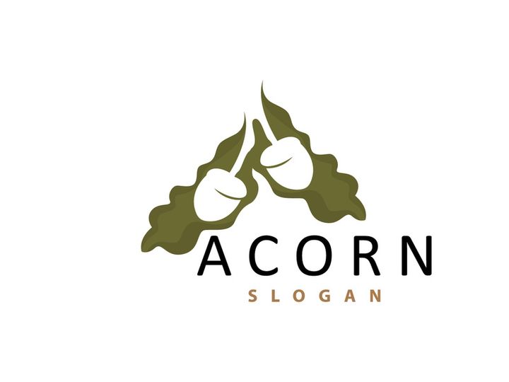 Acorn Logo, Nut Design With Oak Leaves Simple