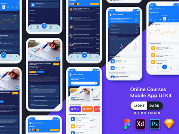 Online Courses Mobile App UI Kit (Light & Dark) preview picture
