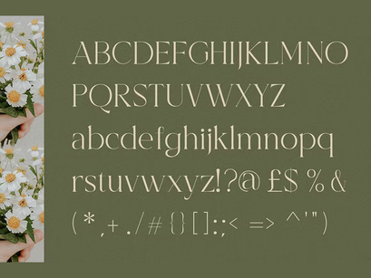 Bercarets Elegant Display Serif Font