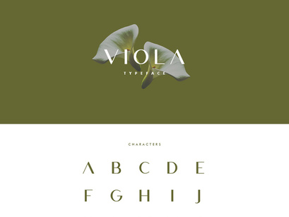 Viola - Free Typeface