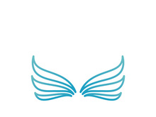 Falcon Wing  Vector Logo Icon Template