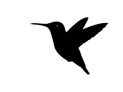 Silhouette of a hummingbird in flight against a white background